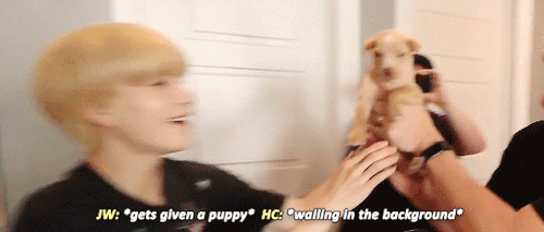 A Puppy With A Puppy 🐶