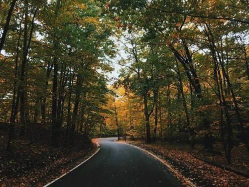 Have a great weekend. Grab this and more amazing free photos on our website: bit.ly/2eLt9eu