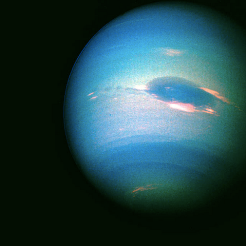 squid-star: neptune.