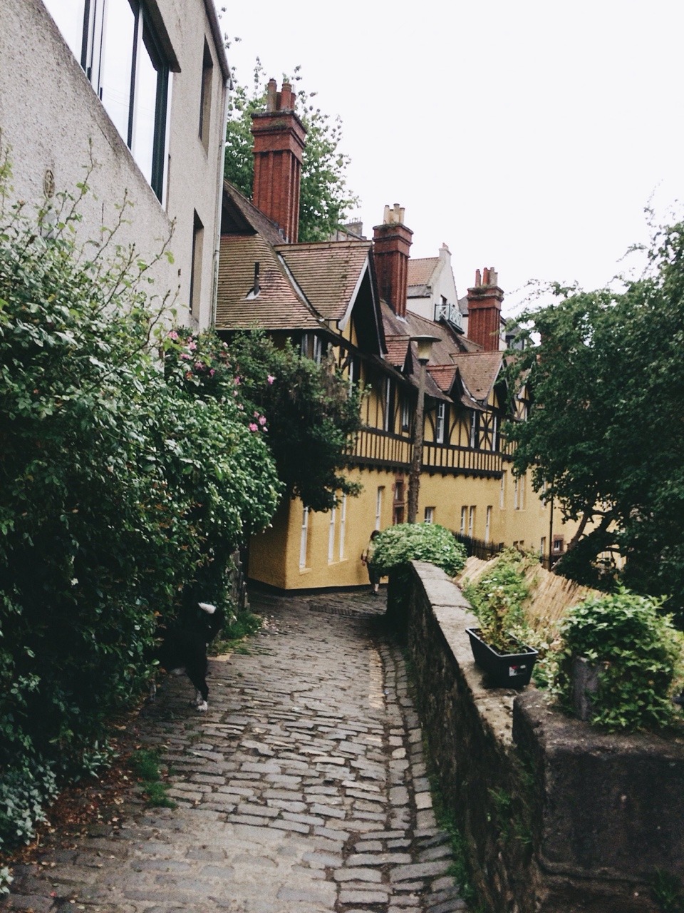 forest-dreams: The most wonderful stroll today through Dean Village, Edinburgh.