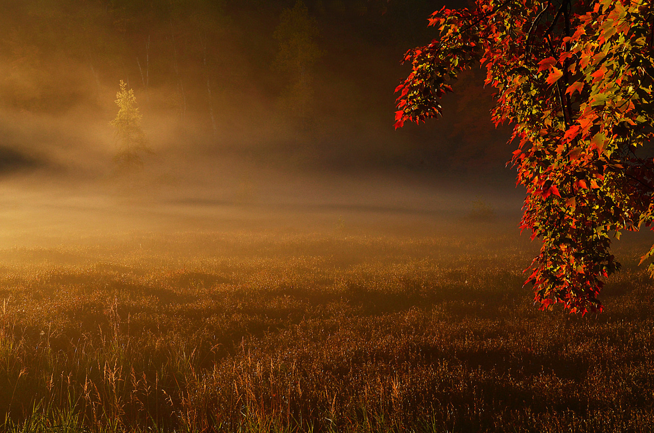 Autumn Cozy