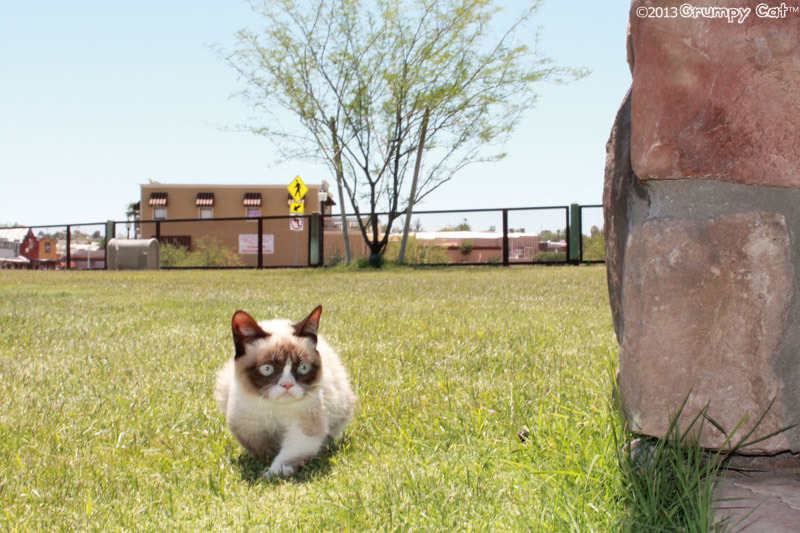 The Daily Grump | May 26, 2013