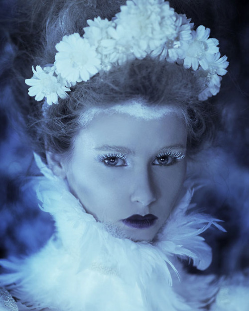 bobbycaputo:The Secret Garden: Photographer Daniela Majic Builds an Elaborate Set in Her Attic 