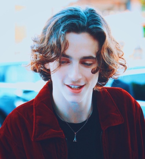 draculalair:Timothée Chalamet at Deadline’s ‘The Contenders’