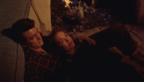 All That Heaven Allows (Douglas Sirk, 1955)