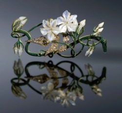 petitpoulailler:  oblogdasjoias: 1899-1901 Lalique