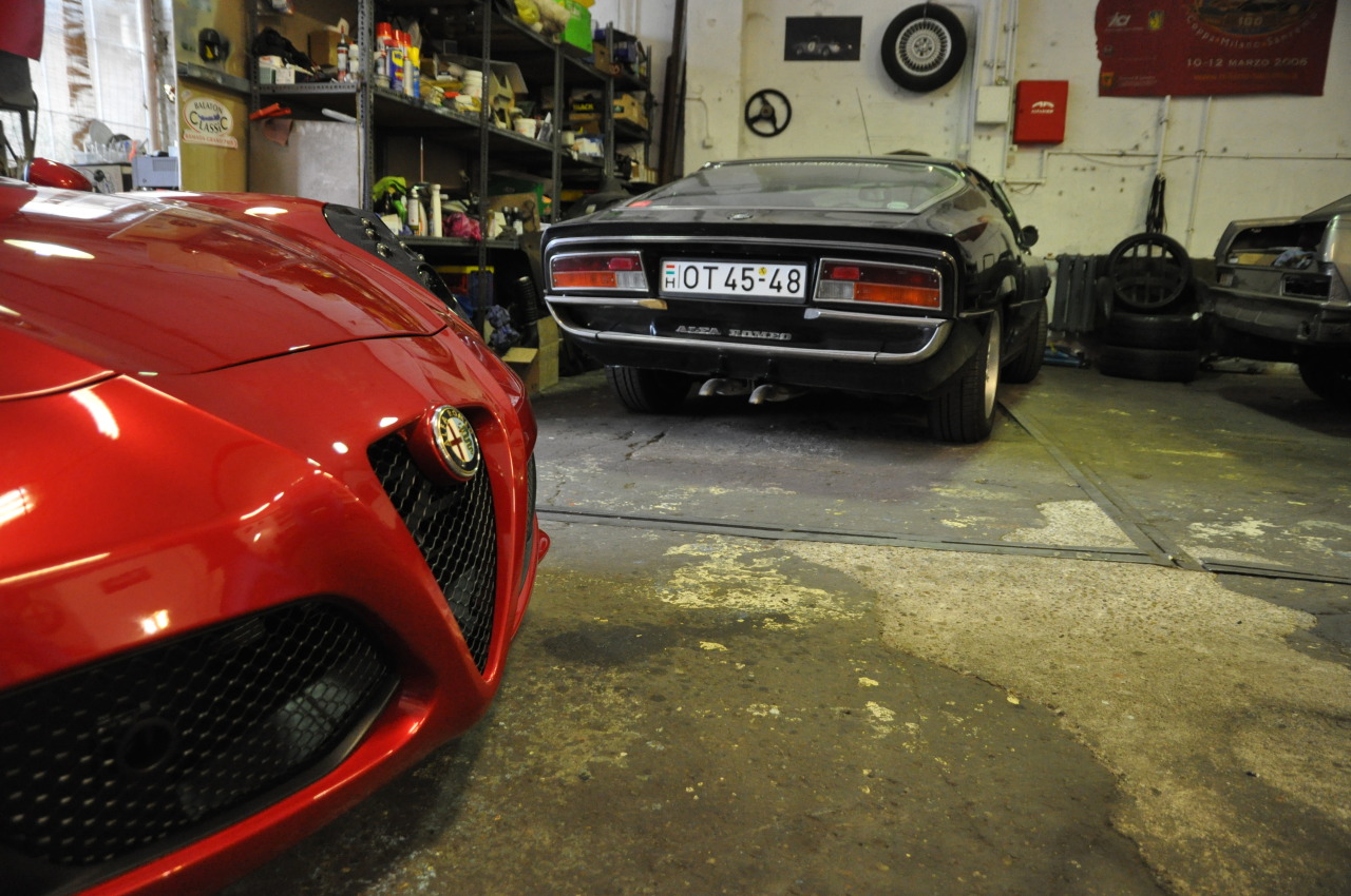 terta:  unusual visitor…  just don&rsquo;t see enough of these&hellip;