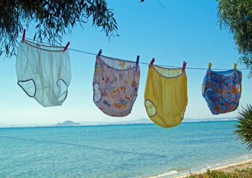 stillinnappies: Wish these were in my garden. “SURE DO WISH I COULD FIND THESE PLASTIC PANTS S