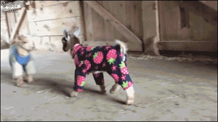 Kids in pajamas. [video]