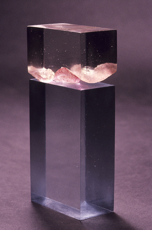 vuls:  Glass sculpture by 3D Design student Joanne Broker 