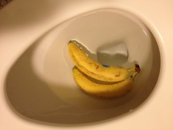 secondseal:  The shit is bananas.  This actually