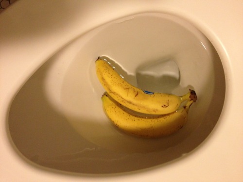 Sex secondseal:  The shit is bananas.  This actually pictures