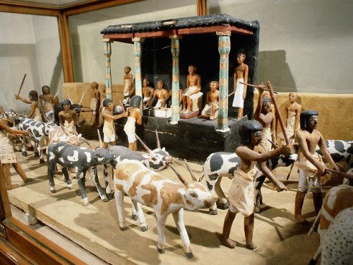 grandegyptianmuseum:A Model Depicting a Cattle Census (painted wood)This large model shows a courtya