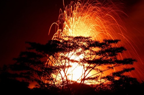 Hawaii, USALava continues to erupt from the Kilauea volcanoPhotograph: Terray Sylvester/Reuters