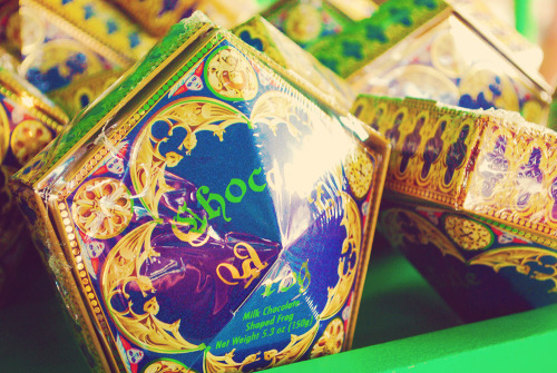intoasylum:  The Wizarding World of Harry Potter | September 2010 