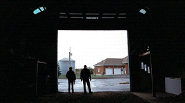matthew-daddario:Tom at the Farm (2013) dir. Xavier Dolan