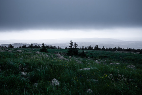 Brockenklippen by Oliver Henze Facebook | Waldlandschaft | Posterlounge | Instagram | 500px