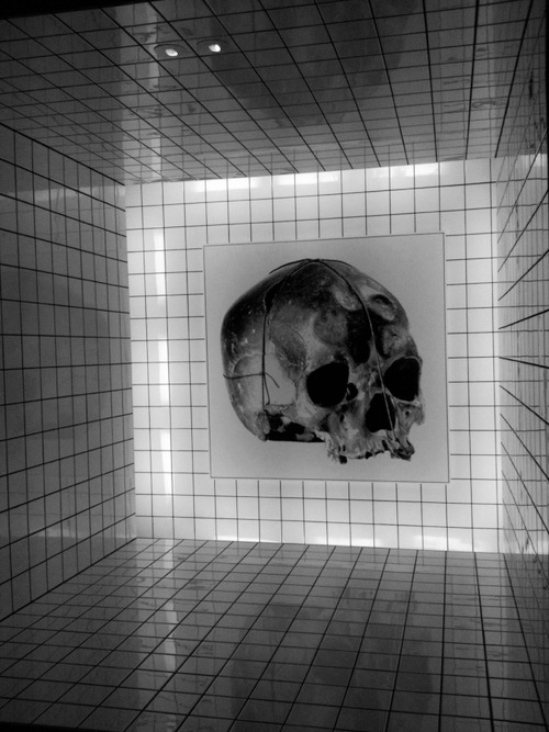 Archillect
