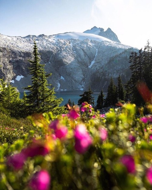 ncascades:North Cascades National Park is designated 94% wilderness and contains almost 400 miles of