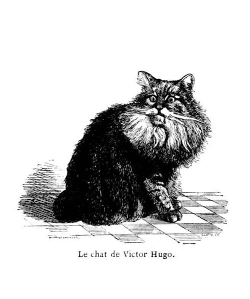 Jules-François-Félix Husson, aka Champfleury Les chats, 1869 (various artists)