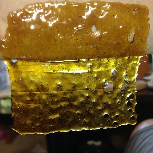 zerobrand:  2nd oz of the home grown ran! Another 5 gram yield! Flavor city! #zerobrandextracts #wepurge #cleanconcentrates #dabs #dabsrus #thc #marijuana #shatta #oil