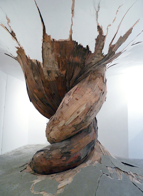 likeafieldmouse:  Henrique Oliveira - Desnatureza (2011)