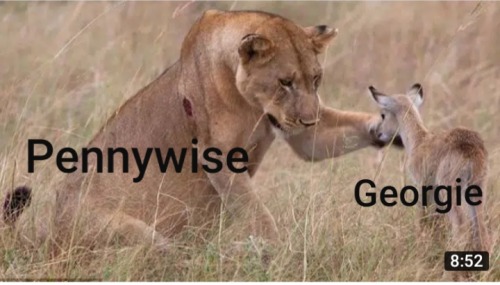 Remember The Lioness Who Lost Her Cubs And Adopted A Baby Antelope ? Well This Picture Reminds Me Of