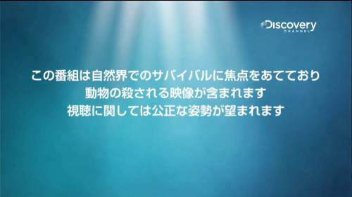 火星へ行く前に