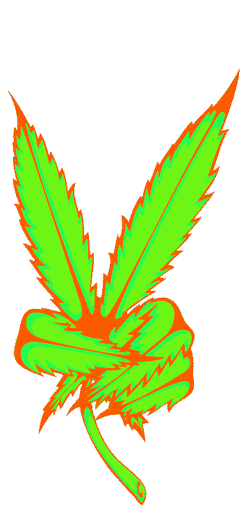 fckin-drugs:  trip 