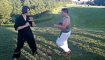 heroofomegle:  Shaolin Bird Kung Fu (video) 