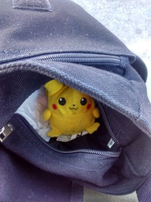 charlyoddsox:  petday: this morning i saw this in the snow all alone and i couldn’t just leave it there…  You’re a hero 