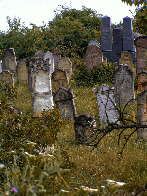 mynocturnality:The unique beauty of the old Jewish cemetery of Tállya ‒ the final resting pla