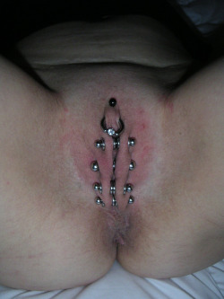 Pussymodsgalore  Pussy With Pierced Outer Labia With Flesh Tunnels, Joined By Barbells.