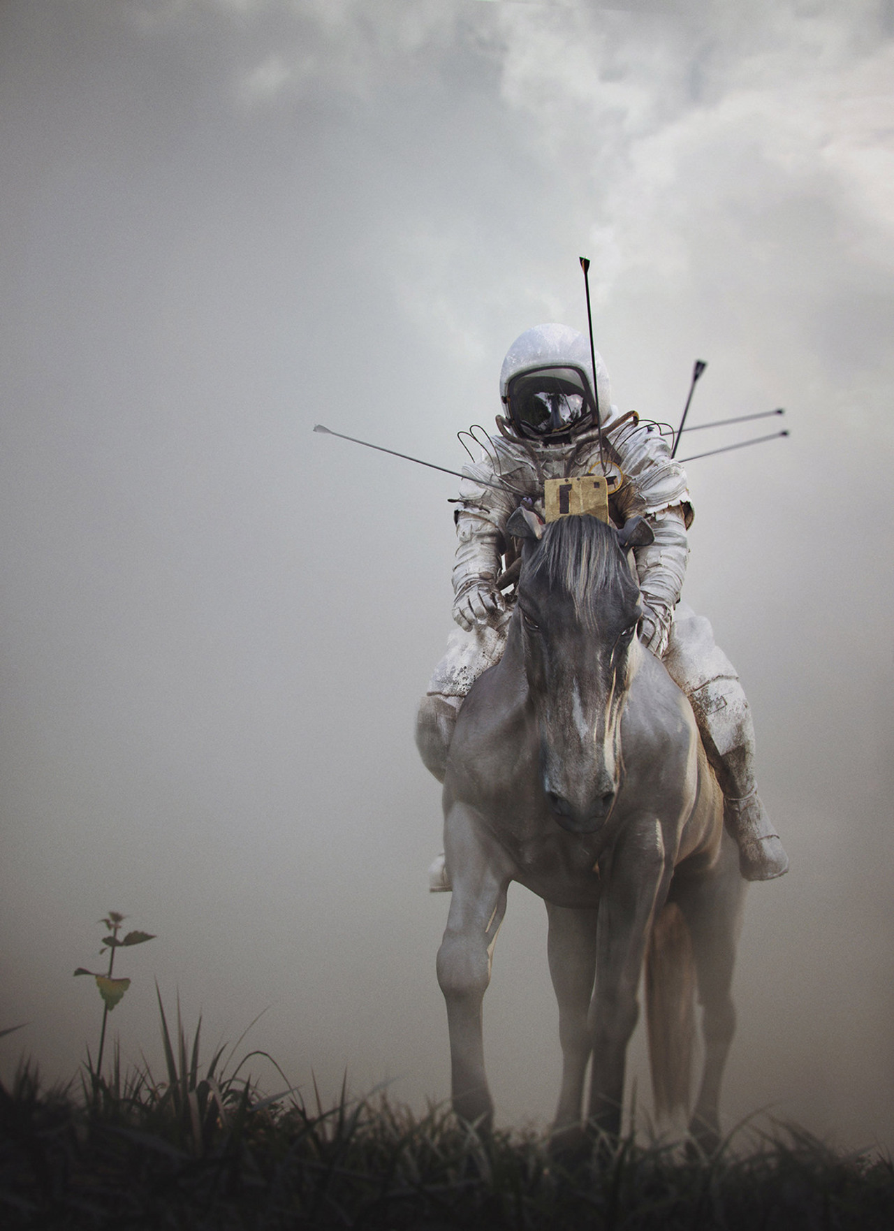 asylum-art-2:    Dreamy and surreal illustrations by Jie Ma   Jie Ma is a digital