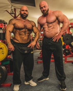 Thetitanhorde: Steve Benthin And Johannes Luckas  