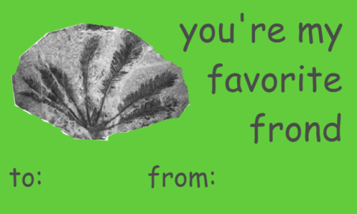 verybadpaleontologyjokes: happy palentines day paleontology editionbonusgeology one