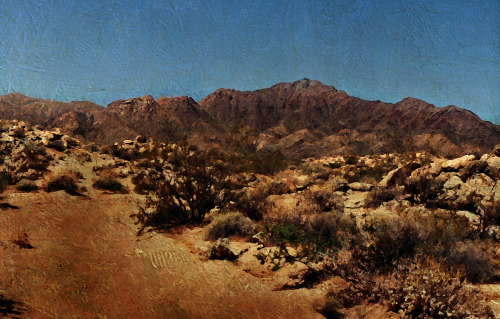 Mojave Road; Near Dead Mountains;  California. Circa 1988,