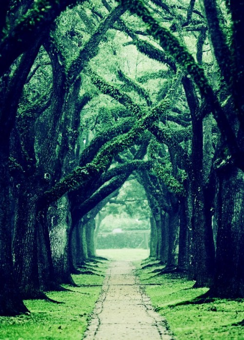 bowhurst:  ×  Let's go on an adventure...   ×  Also on Instagram  × 