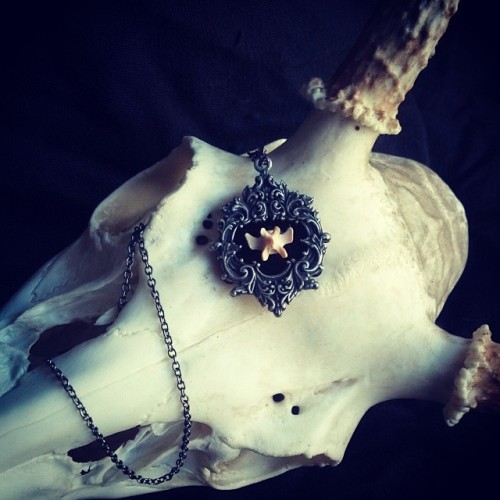 zephyrsuicide:  Still my favorite…..simple vertebrae necklace mounted on black velvet with a 