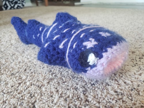 I Made This Today, So Here Are A Bunch Of Facts About Whale Sharks.