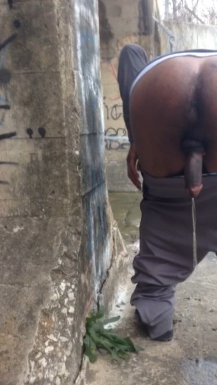 saggerboxxx: Hmmm