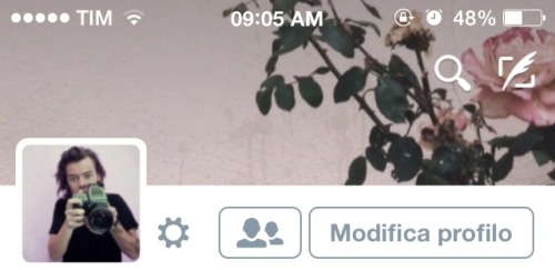 ୨୧˙˳⋆ harry styles layouts ⋆˳˙୨୧ • like or reblog if save. • don’t steal please, respect my work. • 