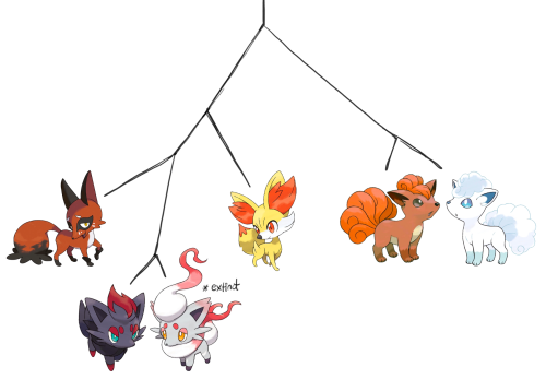 a family tree of the fox pokemon. the branch first splits into two, with one branch leading to vulpix and alolan vulpix. the other branch next splits off at fennekin, then nickit, then zorua and hisuian zorua.