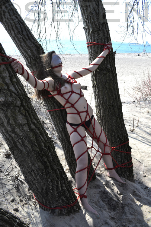 se7enbondage:  Sea witch booty captured by queer pirates.