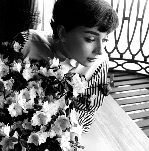 rareaudreyhepburn:Audrey Hepburn photographed by Bob Willoughby in her apartment when she was perfor