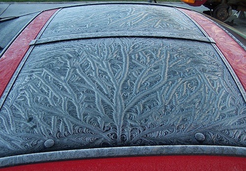 deeperstateofmind:   sweet-plush-rump:  mischiefinthesnow:  jaclcfrost:  do you ever take a minute to appreciate the frost on windows and whatnot  like  do you ever stop to look at this like really look at it  before it melts or you defrost your car so