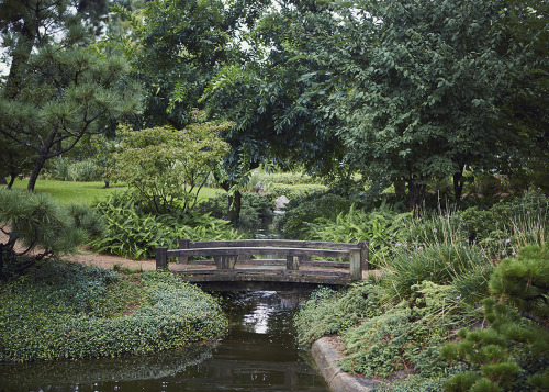 Japanese Gardens&hellip; My love for plants and all things beautiful took me to the Japanese Gar