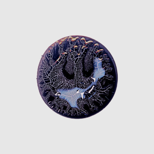 darkshapes:source