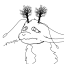 thatweirdocryptid