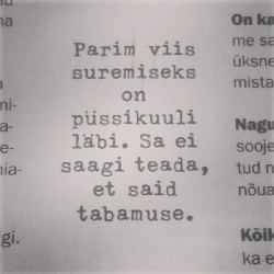 raketilehm:  „Parim viis suremiseks on püssikuuli läbi. Sa ei saagi teada, et said tabamuse” 